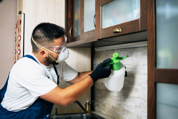 Best Pest Control Cost  in Divernon, IL