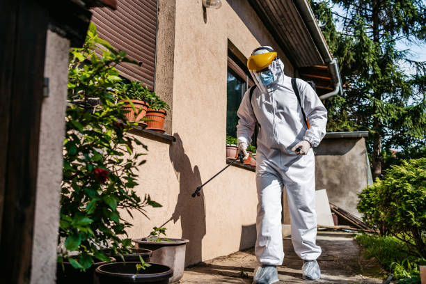 Trusted Divernon, IL Pest Control Experts