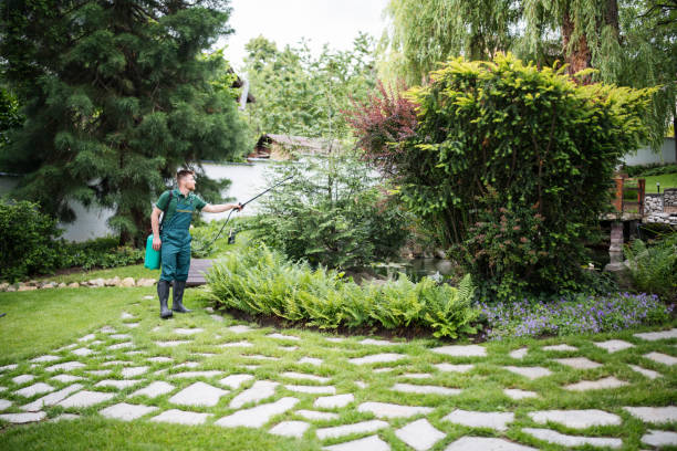 Best Affordable Pest Control Services  in Divernon, IL