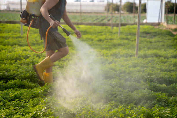 Best Pest Control Cost  in Divernon, IL