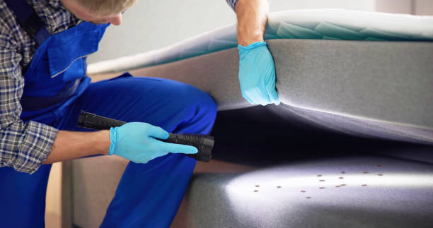 Best Pest Prevention Services  in Divernon, IL