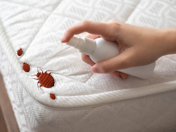 Pest Prevention Services in Divernon, IL