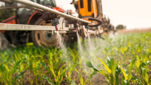 Best Best Pest Control Companies  in Divernon, IL