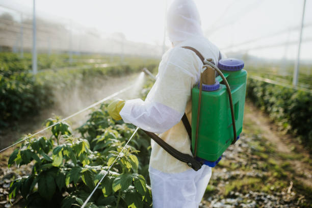 Best Cockroach Control Services  in Divernon, IL